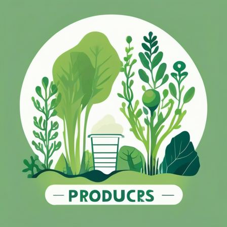 Food chains and food webs — Producers: plants and algae